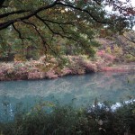秋深まる長池公園